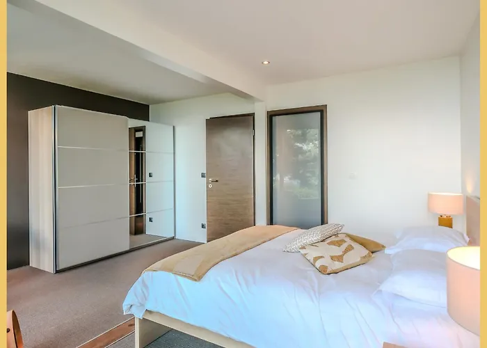 Vue Leman Et Montagne Proche Geneve